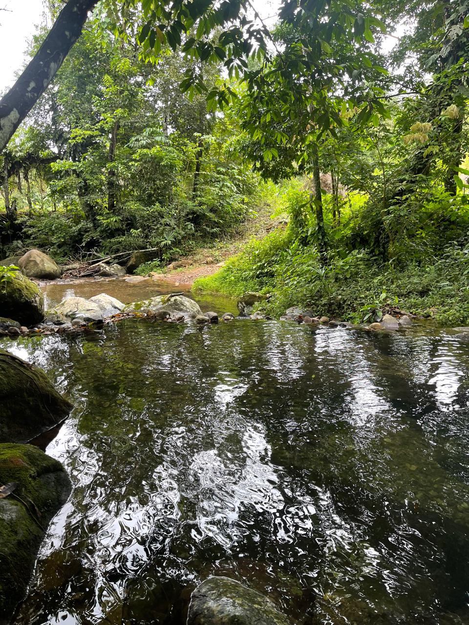 Ecoturismo en Ecoparaiso Lodge